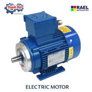 ĐỘNG CƠ ĐIỆN RAEL