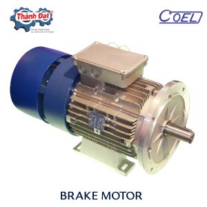 ĐỘNG CƠ ĐIỆN COEL